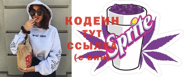 гидропоника Кодинск