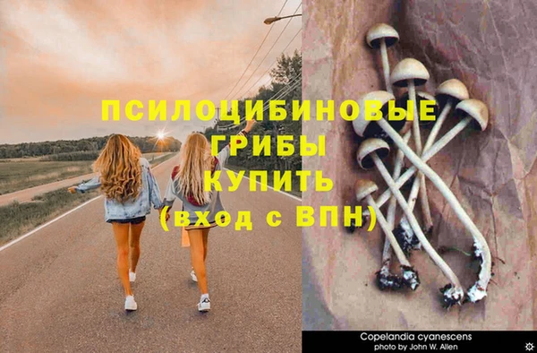 круглые Козельск