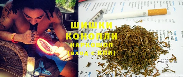 spice Козловка
